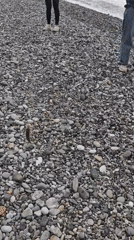 Beach fishing and stone stacking in Pitsunda, Abkhazia