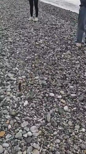 Beach fishing and stone stacking in Pitsunda, Abkhazia