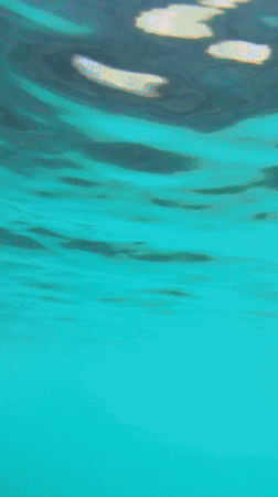 Crystal-clear alpine lake in northern Italy, above and below.