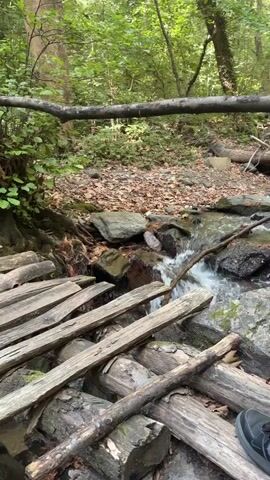 A simple, rustic wooden bridge made of logs and planks crosses a shallow, rocky stream in a wooded area. The water flows gently over the rocks. The bridge appears to be old and weathered. The surrounding environment is lush and green, with trees and foliage visible. The ground is covered in fallen leaves and rocks. The lighting suggests it is daytime, with dappled sunlight filtering through the trees.
