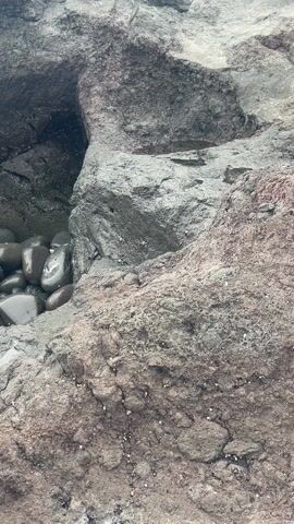 The video shows a rocky shoreline. The rocks are dark gray and brown. Some of the rocks are wet and shiny. There is a small cave-like opening in the rocks, with water washing over some pebbles inside. Several small crabs are moving around on the rocks.