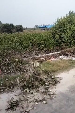 A horizontal video shows a dusty, unpaved road with a ditch running alongside it. Green vegetation and trees are visible on the left side of the road. In the ditch, there is a small, makeshift stall constructed from a blue tarp and wooden planks. Various items are displayed on shelves within the stall, including boxes of goods, plastic bags filled with products, and what appear to be snacks. A person wearing a light-colored shirt is partially visible behind the stall. Behind the stall, a building with a white facade and a brown roof can be seen. The sky is overcast. The video appears to be recorded while moving, likely from a vehicle.
