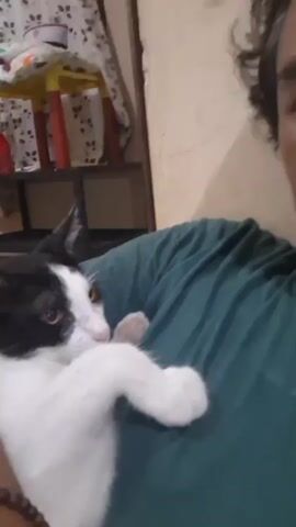 A person is holding a black and white kitten in their arms. The kitten is looking to the left and has its paw on the person's chest. The person is wearing a green shirt. In the background, there is a shelf with items on it, and a curtain. The lighting is dim.