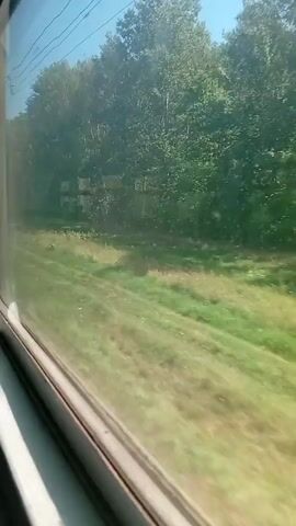 The video shows a view from a train window. Outside the window, there is a landscape with trees and grass. The train appears to be moving, as indicated by the motion blur of the scenery. The sky is visible and appears to be blue with some clouds. The train window frame is white and gray, and the glass is slightly tinted, reflecting the sky and the trees. There is a power line visible above the trees. The overall impression is of a sunny day in a rural or semi-rural area.