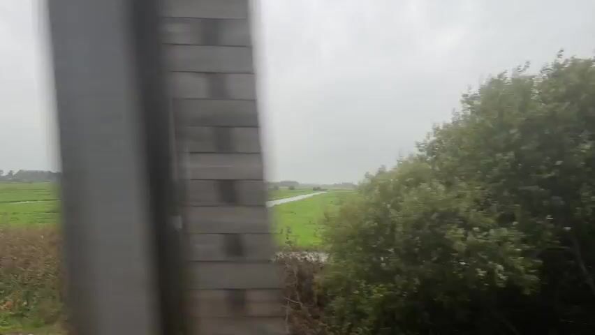 The video captures a wide, flat, green landscape under a cloudy sky. A body of water, likely a canal or river, runs through the center of the frame, dividing the green fields. The fields appear to be farmland, with evidence of cultivation. In the foreground, there is a strip of dry, brown vegetation, possibly mowed grass or reeds. The overall impression is one of rural tranquility and open space. The camera appears to be moving, suggesting it is taken from a vehicle such as a train or car.