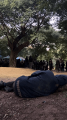Person lying in Buenos Aires park captured on video