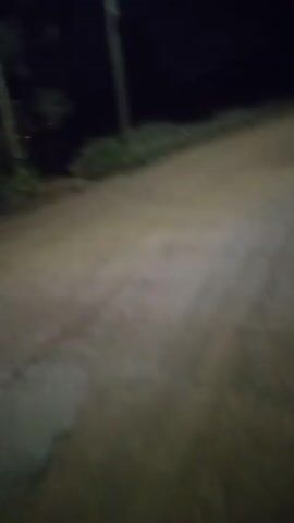 The video shows a dirt road at night. The camera is moving forward, suggesting someone is walking or driving. There is dark green foliage on either side of the road. The night sky is visible.  There are a few blurry lights in the distance, likely from streetlights or a building.