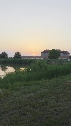 This video captures a serene sunset scene in Holíč, Slovakia. The foreground is dominated by tall, lush green grass swaying gently, with a body of water reflecting the soft light to the left. In the background, a grand, multi-story building, likely a historic castle or manor, stands with its red-tiled roof and light-colored facade. Trees dot the landscape around the building, and a narrow wooden walkway or bridge is visible near the water's edge.

The sun is low on the horizon, casting a warm, orange-pink glow across the sky, indicating it is either sunrise or sunset. The atmosphere is peaceful and tranquil. There is no visible text in the video.