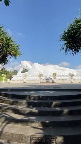 A wide-angle shot captures a very large, white, reclining Buddha statue situated outdoors under a clear blue sky with a few wispy clouds. The statue is the main subject, lying on its side with its head resting on a raised platform and its body extending horizontally. The statue is elaborately detailed, with visible folds in its robes. In front of the statue is a paved walkway with a pattern of dark gray rectangular stones interspersed with smaller light gray stones, leading towards the statue. Flanking the walkway are several small potted plants in white cylindrical containers. Behind the statue, a white structure extends, creating a base for the sculpture. The foreground features a set of dark gray stone steps, with the edge of the bottom step partially visible. On the left and right sides of the frame, the lush green fronds of tropical trees frame the scene, casting shadows on the steps. The overall environment appears to be a serene, outdoor spiritual site. There are no people visible in the frame. The camera is stationary, and the shot is taken during daylight hours, indicated by the bright sunlight and the shadows.