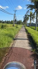 Motorcyclist travels through green rice paddies in Kediri, Indonesia
