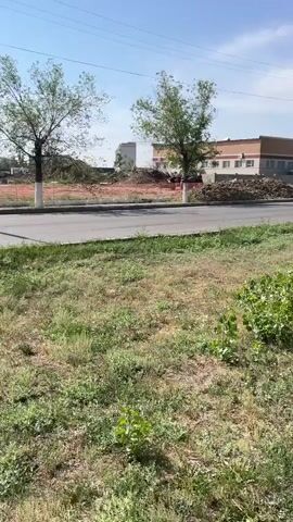 The video pans across a construction site. In the foreground, there is a patch of dry grass with a few small green plants. A paved road runs horizontally across the middle of the frame. Behind the road is a cleared area of orange-colored dirt, with piles of debris and what appears to be construction equipment, including a truck, partially visible. Several trees are scattered throughout the scene, some with white paint around their bases. In the background, there is a long, multi-story building with a brown and beige facade, and a light-colored roof. The sky is bright blue with a few wispy clouds, and the sun is visible, casting a bright glare. Power lines are strung across the upper portion of the frame. The overall impression is of an active, or recently active, construction area under a clear, sunny sky.