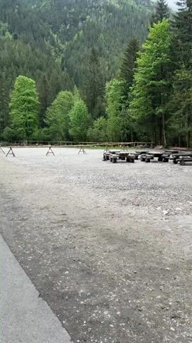 The video shows a wooded outdoor area. In the foreground is a gravelly area with picnic tables made of logs. In the midground is a wooden fence, and in the background is a steep forested hillside. A small, brown mammal appears in the midground and trots across the gravel toward the left of the frame. It stops and sniffs the ground and then continues moving to the left out of view. A person speaking in an unidentified language can be heard in the background.