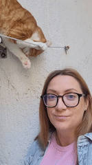 Morning pet encounters captured in sunny Budva, Montenegro