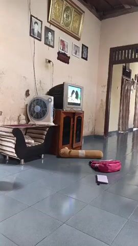 The video shows a living room. A television is on, displaying a cartoon. A young child is sitting on a sofa, watching the television. There are several framed pictures on the wall, a fan, and a long pillow on the floor. The room appears to be in a house.