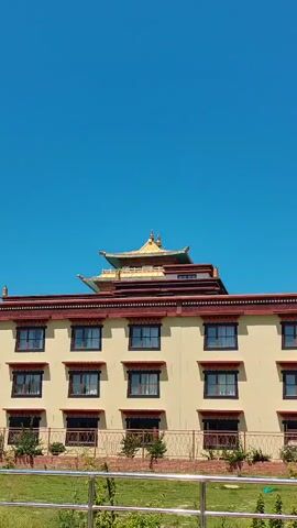This is a vertical video of a Buddhist monastery. The building is a two-story structure with cream-colored walls and dark-trimmed windows. The roof is ornate, with dark red trim and decorative elements. Atop the main building is a gilded, multi-tiered roof structure with green accents, resembling a traditional pagoda. The sky is a clear, bright blue. In the foreground, there is green grass and a metal railing. A portion of a solar-powered street light is visible on the left side of the frame. The video pans slightly to the right.