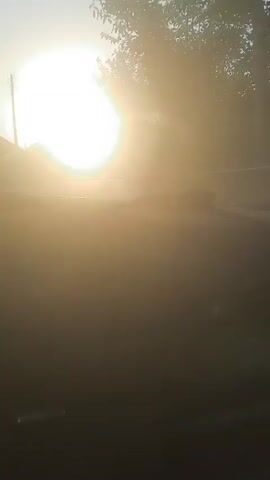 The video begins with a view from inside a vehicle, looking forward. The sun is bright and appears low in the sky, casting a strong glare. Dust or particles are visible in the air, catching the sunlight. Trees line the right side of the frame. On the left, a utility pole and what appears to be a building are visible. The foreground of the video shows the dashboard of the vehicle, with a small reflective object visible at the bottom left. The video appears to be filmed while the vehicle is in motion, indicated by slight vibrations and the movement of the sun and surrounding environment. The overall scene depicts a dusty road or area bathed in the warm, bright light of a setting or rising sun.