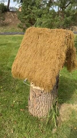The video shows a close-up of a rustic wooden structure designed to resemble a small house, situated outdoors on a grassy area. The structure is built around a thick, rough tree trunk, with a conical roof made of dried, straw-like material, giving it a thatched appearance. The roof overhangs the trunk, creating a sheltered space. Attached to the front of the trunk is a wooden sign with carved Cyrillic lettering that reads "Всем добра!" (Vsem dobra!), which translates to "Goodness to all!" or "All the best!". Below the sign, there are two decorative wooden cutouts that resemble windows with arched tops and latticed panes. A circular wooden cutout, possibly representing a door or a decorative element, is placed near the base of the trunk. The surrounding environment appears to be a park or garden, with green grass and trees visible in the background. The lighting suggests it is daytime. There are no people or animals visible in the video.