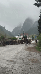 Horseback herders guide cattle through rainy Kyrgyz mountains