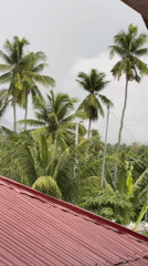 Morning household routine documented in rural Philippines