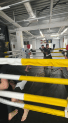 Boxing sparring session captured with four participants in ring
