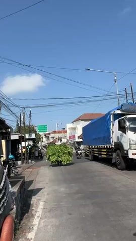 The video captures a street scene under a clear blue sky with scattered clouds. A paved road dominates the foreground, with a person on a motorcycle in the immediate right, facing away from the camera and moving forward. The rider wears a grey sweatshirt, pink head covering, and a black helmet. The motorcycle is dark colored. In the mid-ground, several other motorcycles, also carrying riders, are proceeding in the same direction. To the left of the road, there's a sidewalk with some parked motorcycles, small shops or stalls, and a few people. A prominent green traffic sign with white text is visible on a pole on the left side of the road. A large tree, appearing to be a bush or shrub with dense green foliage, sits in the middle of the road. Further down the road, a large truck covered with a blue tarp is partially visible on the right. Buildings line both sides of the street, some appearing to be houses with white walls and terracotta roofs, others commercial establishments. Overhead, a network of electrical wires crisscrosses the sky, supported by poles. The overall impression is a bustling street scene in a populated area, likely in a tropical or subtropical climate given the vegetation and lighting.
