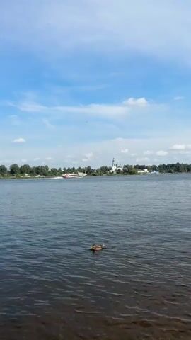 A hydrofoil boat is seen moving quickly across a body of water. The boat is white and red with a streamlined design. In the background, there is a church with a white bell tower and green domes, surrounded by trees. The sky is blue with scattered clouds. A duck is swimming in the foreground of the water. The scene appears to be a sunny day.