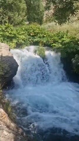A waterfall cascades into a turbulent pool. Lush green foliage surrounds the waterfall, with some rocks visible on the left bank. The water is a bright white, indicating movement and aeration. The scene appears to be a natural outdoor environment.