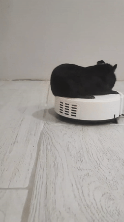 Domestic life moments captured in Votkinsk home