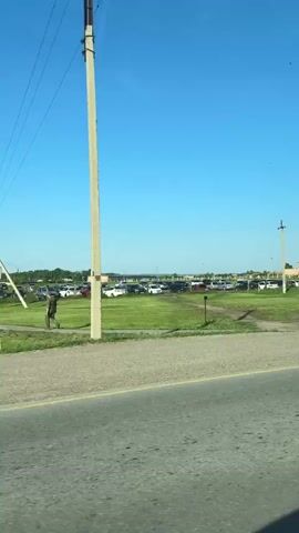 The video shows a view from inside a vehicle moving along a road with a clear blue sky overhead. In the foreground, a yellow and white striped crosswalk is visible. To the left of the crosswalk, there is a concrete utility pole with a traffic light and a pedestrian crossing sign. Further in the background, there is a large grassy field with a row of parked cars. Beyond the field, several buildings are visible, including one with a reddish-brown roof. The vehicle appears to be moving forward, and the camera is panning slightly to the right. The overall environment seems to be an open, somewhat rural or suburban area on a sunny day.