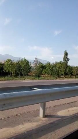 This is a first-person perspective video, likely taken from a vehicle traveling along a highway in Chimbaylyk, Uzbekistan. The scene is dominated by a clear blue sky with a few wispy clouds, suggesting a sunny day. In the foreground, a silver metal guardrail runs along the side of the road, with its concrete posts visible. The road itself is paved, with clear lane markings including a yellow line on the right edge.

Beyond the guardrail, a line of trees, appearing to be fruit trees given their dense foliage, stretches into the distance. These trees form a verdant barrier separating the highway from a backdrop of rolling hills and mountains. In the far distance, power lines and pylons can be seen, indicating a developed area. The vegetation is lush and green, hinting at favorable weather conditions for plant growth.

The time of day appears to be late morning or early afternoon, based on the bright sunlight and the angle of the shadows. There are no people or animals visible in the frame. The overall atmosphere is serene and peaceful, characterized by the natural landscape and the smooth passage of travel. The video captures a typical roadside view, emphasizing the journey through a semi-rural or agricultural region.