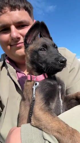 Young man with puppy spotted in Bulgarian village