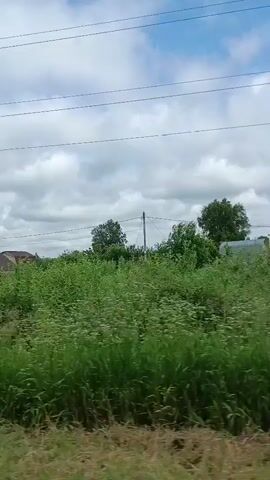 The video shows a view from a moving vehicle. The scene is rural, with a cloudy sky and overhead power lines. In the distance, a white house with a brown roof is visible, surrounded by lush green vegetation. There are several trees, some of which are quite large. The foreground consists of more greenery, including tall grass and possibly wildflowers. The camera pans slightly to the right, revealing more of the landscape, including what appears to be a red signpost and more trees. The overall impression is one of a serene, natural environment.
