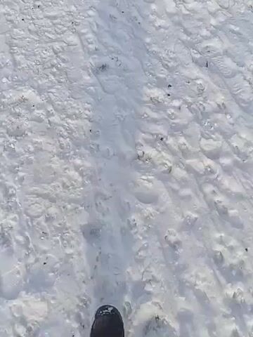 The video shows a top-down view of a snow-covered surface, likely the ground. There are numerous footprints visible in the snow, along with some dark specks scattered around, which could be debris. The snow appears compacted in places, suggesting a path or area of frequent travel. The overall scene indicates a winter environment where people have recently been walking. The camera is static throughout the duration of the video.