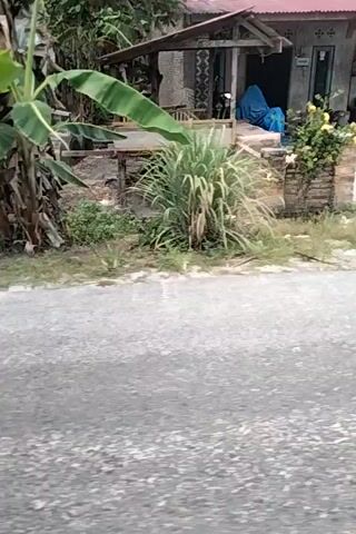 The video, oriented vertically, pans across a residential street, revealing houses, vegetation, and a paved road. On the left, a house with a red roof and white walls is visible. In front of it, a blue tarp covers some objects. Further down, another building with a similar roof and dark walls shows a motorcycle parked outside. The scene is bordered by a dusty road on the right, with patches of grass and some debris along the roadside. The atmosphere appears to be daytime in a tropical or subtropical region, suggested by the palm trees visible in the background.