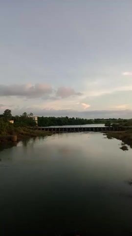The video shows a wide, calm river with a dam in the distance. The sky is overcast with scattered clouds, and the overall lighting suggests it is either early morning or late evening. Lush green vegetation lines the banks of the river on both sides, with trees and bushes visible. A building, possibly a small structure or part of the dam's infrastructure, can be seen on the left bank. The water reflects the sky and the surrounding landscape, creating a serene and peaceful atmosphere. There are no people or visible animals in the frame. The dam appears to be a long, low structure extending across the river, possibly with sluice gates.