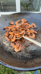 Outdoor BBQ in Orenburg: shrimp, grilled meat, open fire