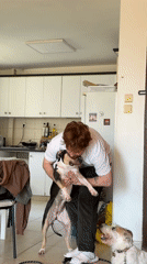 Man plays with two dogs in Tel Aviv home