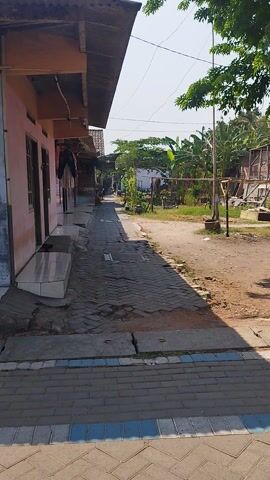 This media file captures an outdoor scene in Prajuritkulon, Indonesia. The camera is oriented vertically, looking down a street lined with buildings and trees. The time of day appears to be late morning or early afternoon, judging by the strong shadows cast by the sun. The weather seems to be fair and sunny.

The scene features a paved walkway on the right side, bordered by a strip of blue and grey tiles. This walkway runs alongside a dirt path and the front of several buildings. On the left, there are low-rise structures, one painted pink with windows and an overhang. Further down the street, construction or renovation work is evident, with scaffolding and piles of materials visible. Lush green trees and foliage are interspersed throughout the scene, indicating a tropical or subtropical climate.

While no people are clearly identifiable, the presence of buildings, walkways, and the general streetscape suggests a residential or mixed-use area. The overall impression is one of a typical day in a semi-urban or village setting in Indonesia, possibly with ongoing development or repair projects. The image is devoid of any discernible text.