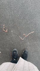 Moscow morning scenes: wet streets, debris, desk workspace documented