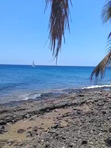 This video captures a serene coastal scene on a bright, sunny day. The camera pans from left to right, revealing a rocky beach meeting the clear blue ocean. In the foreground, the fronds of a palm tree hang down, partially obscuring the view at the start. As the camera moves, a full palm tree becomes visible, casting a shadow on the dark, rugged rocks that make up the shoreline.

In the distance, a small white sailboat can be seen gracefully gliding across the calm, cerulean waters under a brilliant blue sky. Gentle waves lap at the shore, creating a thin line of white foam against the dark rocks. Further out, a hazy landmass or mountains are visible on the horizon.

Underneath the shade of the palm tree, a person is lying face down on a colorful towel amidst the rocks. They appear to be sunbathing or relaxing, dressed in blue shorts. The setting evokes a sense of tranquility and leisure, typical of a beach vacation. The scene is likely Puerto Del Carmen, Spain, as indicated by the user.