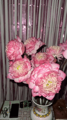 Pink lotus flower arrangement documented in Thủ Đức, Vietnam