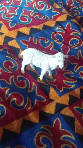The video displays a close-up shot of a person's hand holding a red hand grip exerciser. The hand is in focus and the hand grip is being squeezed. In the background, slightly out of focus, is a toy sheep standing on a colorful patterned fabric. The fabric has abstract designs in red, blue, yellow, and black. The lighting appears to be natural and the scene is static.