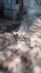 Morning street life documented across Jaipur neighborhoods