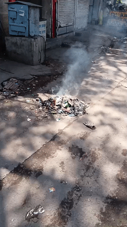 Morning street life documented across Jaipur neighborhoods