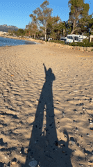 Morning beach scene captured on video in Mont-roig del Camp