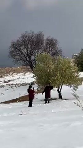 Two individuals are standing in a snowy field with sparse trees, as seen from a low angle. One person is taking a picture with a phone, while the other stands near a small green tree. The camera then pans upward to reveal a snow-covered landscape with more trees and a cloudy sky. The sun is trying to break through the clouds, casting a diffused light on the scene. The ground is covered with footprints in the snow.