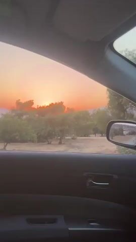 The video is filmed from inside a car, looking out the side window at a sunset. The car door interior is visible in the foreground, with a black armrest, silver door handle, and a window control button. Outside the window, the sun is setting behind trees and foliage, casting a warm orange glow across the sky and landscape. The trees are a mix of green and brown, with some dry grass and dirt visible on the ground. A side-view mirror is attached to the car's exterior, reflecting a small portion of the surroundings. The scene suggests a peaceful drive through a rural or natural area during dusk.