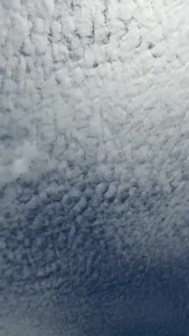 The video shows a sky filled with white, puffy clouds against a blue background. The clouds are arranged in a pattern that resembles ripples or scales. The camera is angled upwards, capturing a vast expanse of the sky. Sunlight filters through the clouds, creating brighter areas and subtle shadows. The perspective suggests the viewer is looking up from the ground. There are no people, objects, or actions visible in the frame. The environment is solely the sky and clouds.