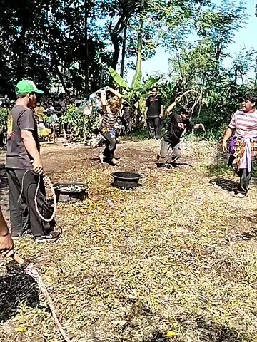 The video shows a group of people participating in a traditional performance outdoors. The scene appears to be in a rural or semi-rural setting, with trees and vegetation visible. Several individuals are dressed in what seems to be traditional attire, including one man in a black outfit with a hat. There are drums and what appear to be pots on the ground. A crowd of people watches the performance from a distance. The ground is covered with dry leaves or grass. The weather seems clear and sunny. The performers seem to be moving in a choreographed manner, suggesting a ritual or cultural event.