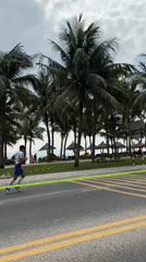 Two runners spotted on coastal road in Đà Nẵng